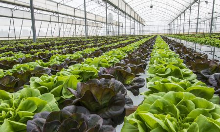 Humidity_measurment_for_foodindustry